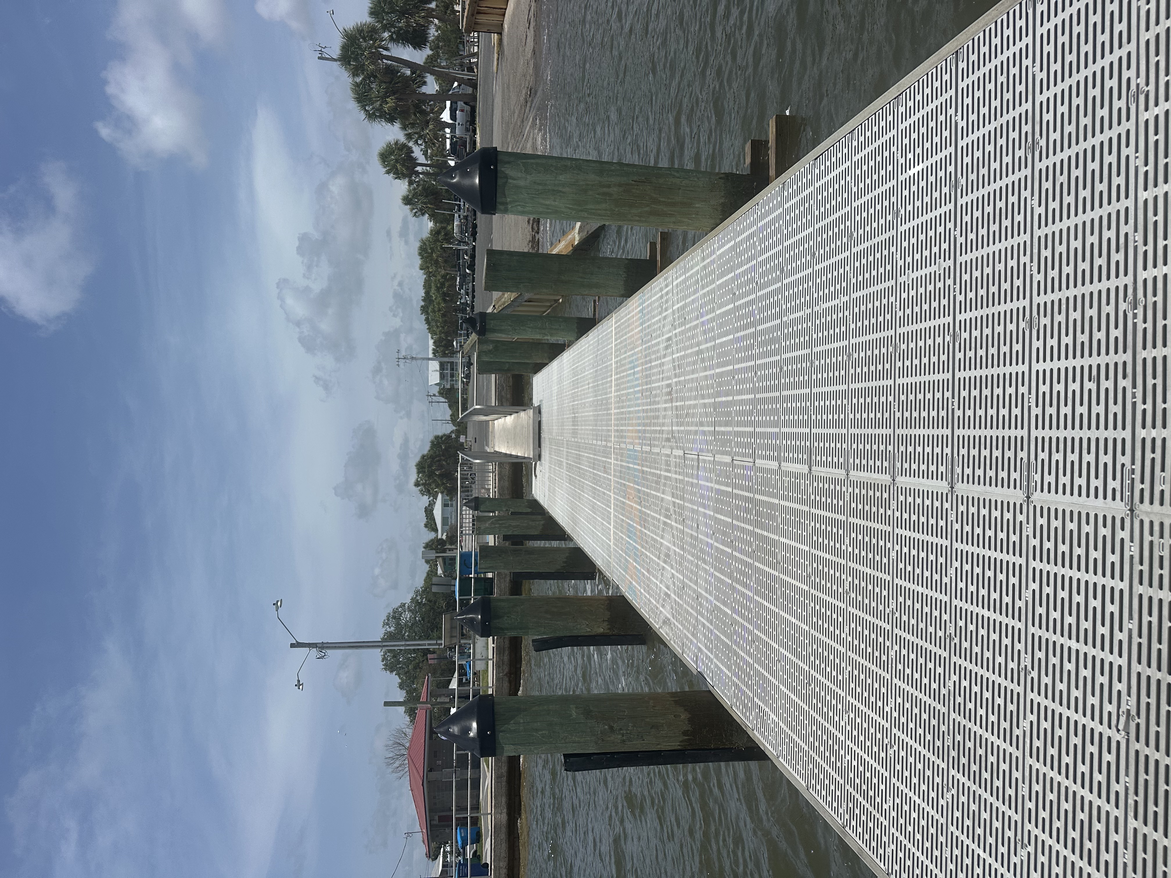 Municipal floating dock with composite grating and timber piles with black caps at Cedar Key
